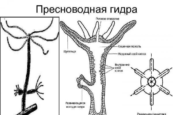 Как зарегистрироваться на сайте кракен