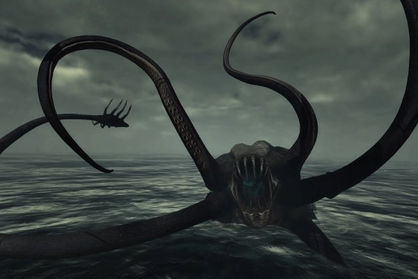 Vk kraken